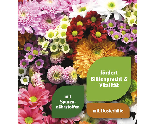 Blumenarrangement mit Hinweisen zur Blütenpracht, Vitalität, Spurennährstoffen und Dosierhilfe