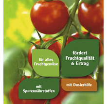 Tomatenpflanze mit Hinweisen zu Fruchtqualität, Ertrag, Spurennährstoffen und Dosierhilfe