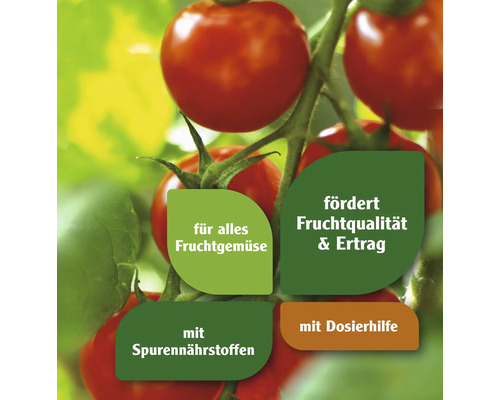 Tomatenpflanze mit Hinweisen zu Fruchtqualität, Ertrag, Spurennährstoffen und Dosierhilfe