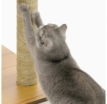 Katze kratzt an einem Kratzbaum