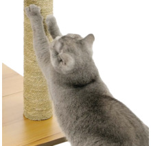 Katze kratzt an einem Kratzbaum