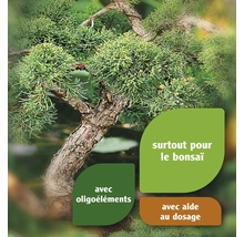 Nutriments pour bonsaïs avec oligo-éléments et aide au dosage