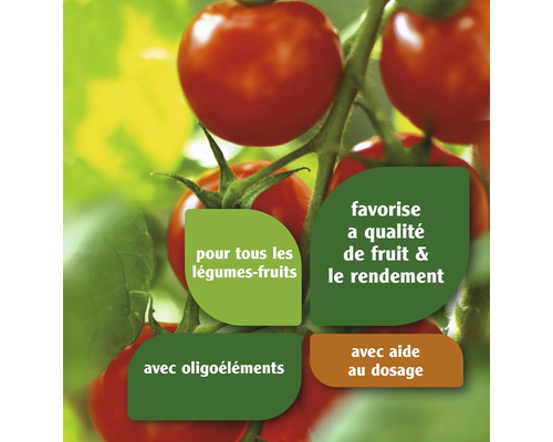 Plant de tomates avec des instructions d''utilisation pour tous les légumes, pour favoriser la qualité des fruits et le rendement, avec des oligo-éléments et une aide au dosage