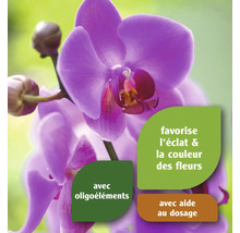 Gros plan d''une orchidée avec des informations sur les oligo-éléments et l''aide au dosage