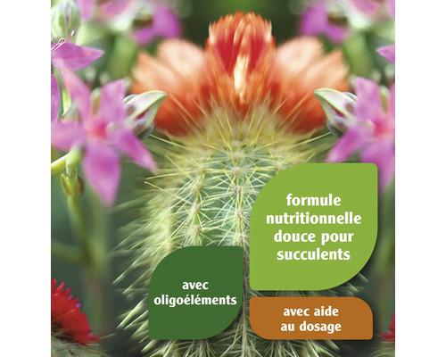 Formule nutritionnelle pour plantes grasses avec oligo-éléments et aide au dosage