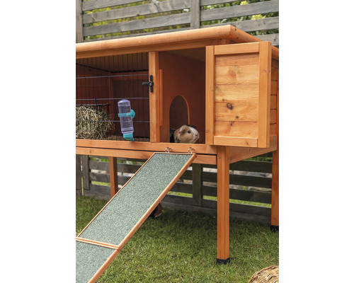 Cage en bois pour petits animaux avec rampe et cochon d''Inde