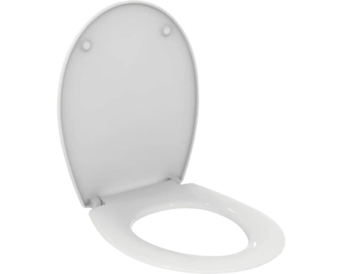 Toilettendeckel aus Kunststoff