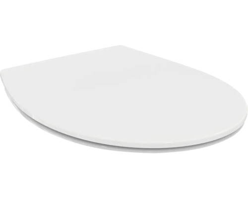 Toilettendeckel aus Kunststoff