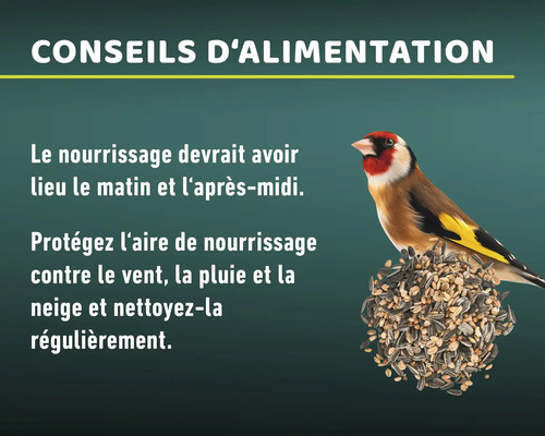 Conseils d''alimentation des oiseaux avec un chardonneret sur une boule de nourriture