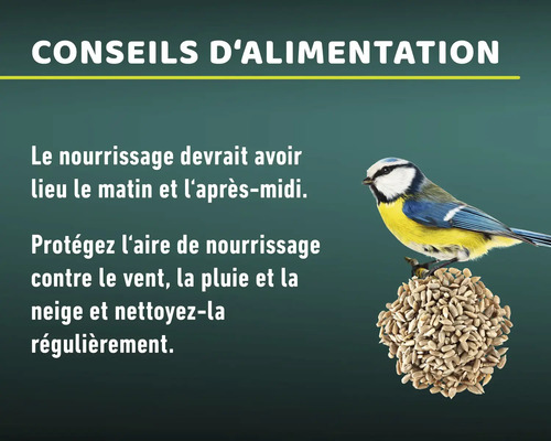 Illustration avec des conseils d''alimentation et une mésange bleue sur une boule de nourriture