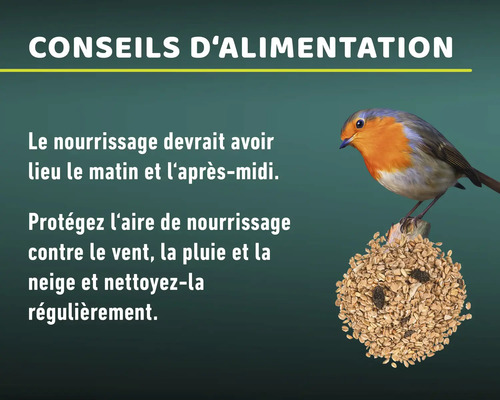 Conseils d''alimentation des oiseaux avec un rouge-gorge sur une boule de nourriture
