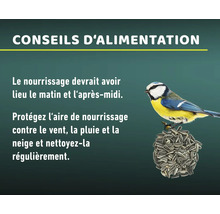 "Conseils d''alimentation : Nourrir le matin et l''après-midi 