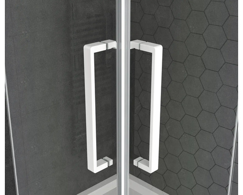 Detailansicht der Duschkabinentür mit Griff