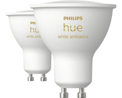 Deux ampoules Philips Hue White Ambiance