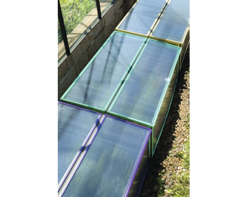 Serre avec plaques en polycarbonate et cadres colorés