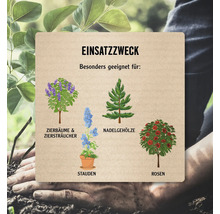 Anwendungsbereich mit Illustrationen von Zierbäumen, Ziersträuchern, Nadelgehölzen, Stauden und Rosen.
