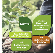 Torffreie Blumenerde mit erhöhtem Wasser- und Nährstoffspeicher durch Pflanzenkohle, lockerem Substrat für gutes Wurzelwachstum, hochwertigem Kompost und nachwachsenden Rohstoffen.