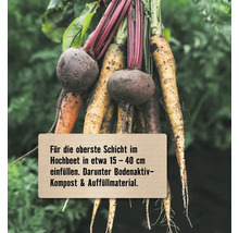 Bündel verschiedener frisch geernteter Gemüsesorten