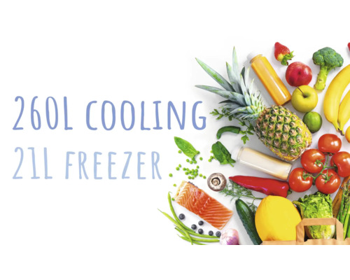 Réfrigérateur avec compartiment réfrigérateur de 260 litres et compartiment congélateur de 21 litres avec aliments