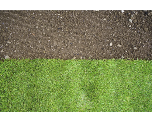 Gazon en rouleau à côté de terre végétale