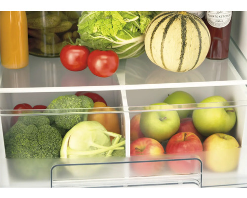 Blick in einen Kühlschrank mit Gemüsefach gefüllt mit Obst und Gemüse