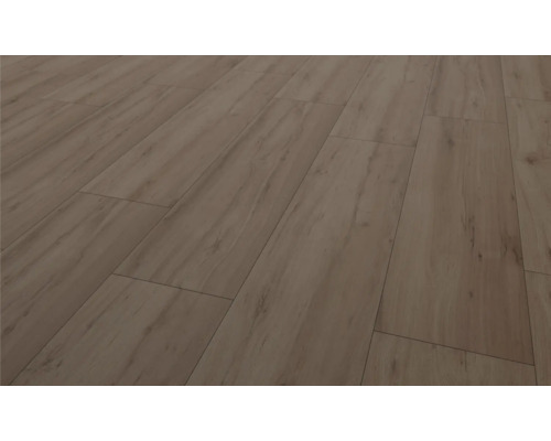 Gros plan d''un sol stratifié