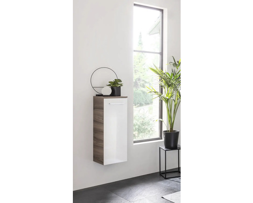 Hängeschrank mit Tür und Pflanzen als Dekoration vor einem Fenster.