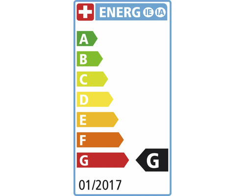 Energielabel mit Energieeffizienzklasse G