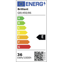 EU-Energielabel für Brilliant G81450/86, Energieeffizienzklasse E, Verbrauch 36 Kilowattstunden pro 1000 Stunden.