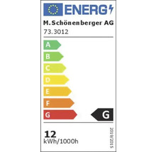 Étiquette énergétique avec classe d''efficacité énergétique G, consommation électrique de 12 kWh pour 1000 heures