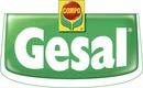 Gesal