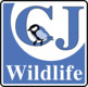 CJ Wildlife