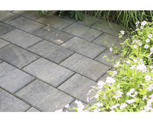 Pavés rectangulaires sur un chemin de jardin à côté de fleurs