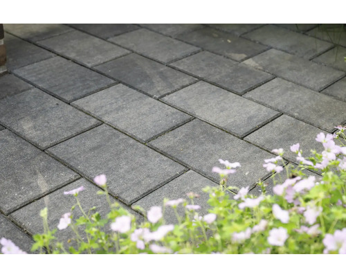 Pavés posés à l''extérieur avec parterre de fleurs