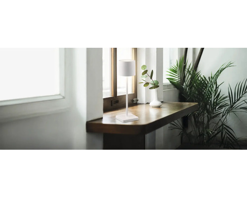 Scène avec une lampe de table, un vase avec des branches et une plante d''intérieur sur une table