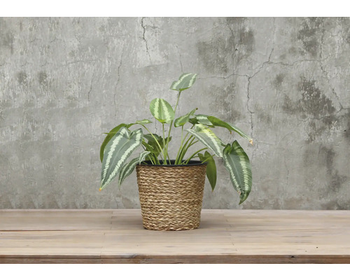 Plante artificielle dans un pot tressé pour la décoration
