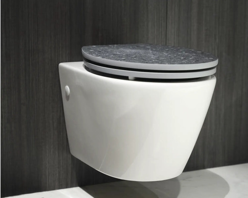 WC suspendu avec siège gris