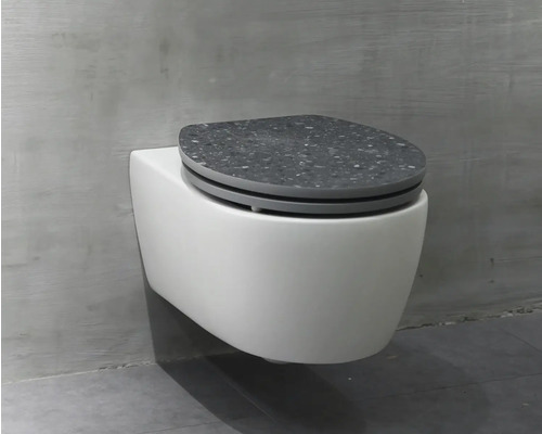 WC suspendu avec siège de WC