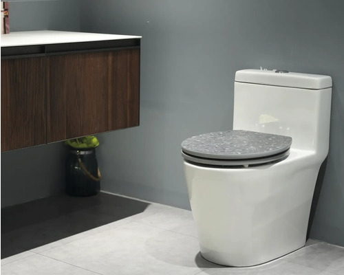 WC blanc avec siège de toilette gris dans une salle de bains