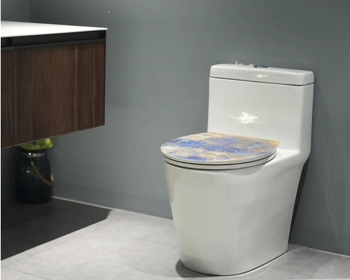 WC sur pied blanc avec siège de WC dans une salle de bains