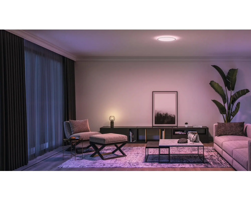 Salon avec canapé, fauteuil, table basse et plafonnier