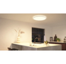 Cuisine lumineuse avec plafonnier moderne, évier et décoration