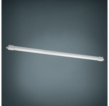 Tube fluorescent