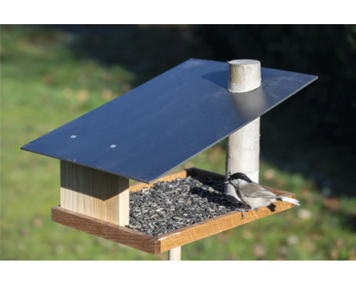 Vogelhaus aus Holz mit Sonnenblumenkernen und Vogel