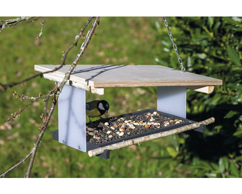 Vogelhaus mit Futter und einer Kohlmeise an einem Baum aufgehängt