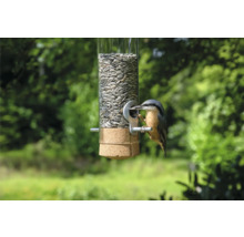 Oiseau sur une mangeoire à graines de tournesol