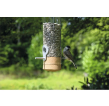 Mangeoire à oiseaux avec graines de tournesol et une mésange