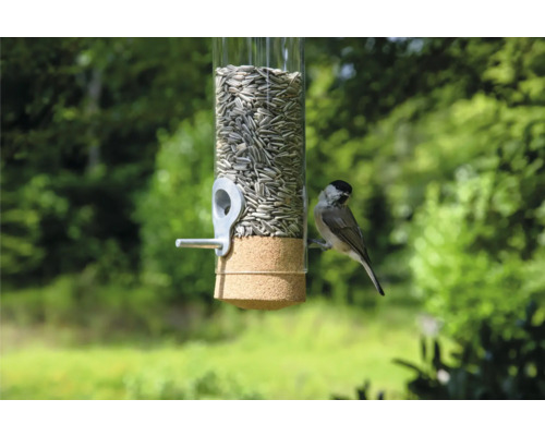 Mangeoire à oiseaux avec graines de tournesol et une mésange