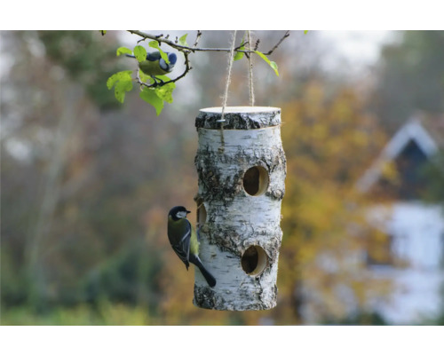 Vogelhaus aus Birkenholz mit zwei Vögeln