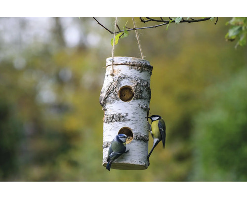 Vogelhaus aus Birkenholz mit zwei Vögeln